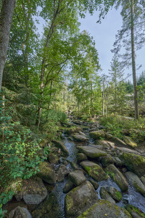 Gemeinde Waldkirchen Landkreis Freyung-Grafenau Saußbachklamm (Dirschl Johann) Deutschland FRG